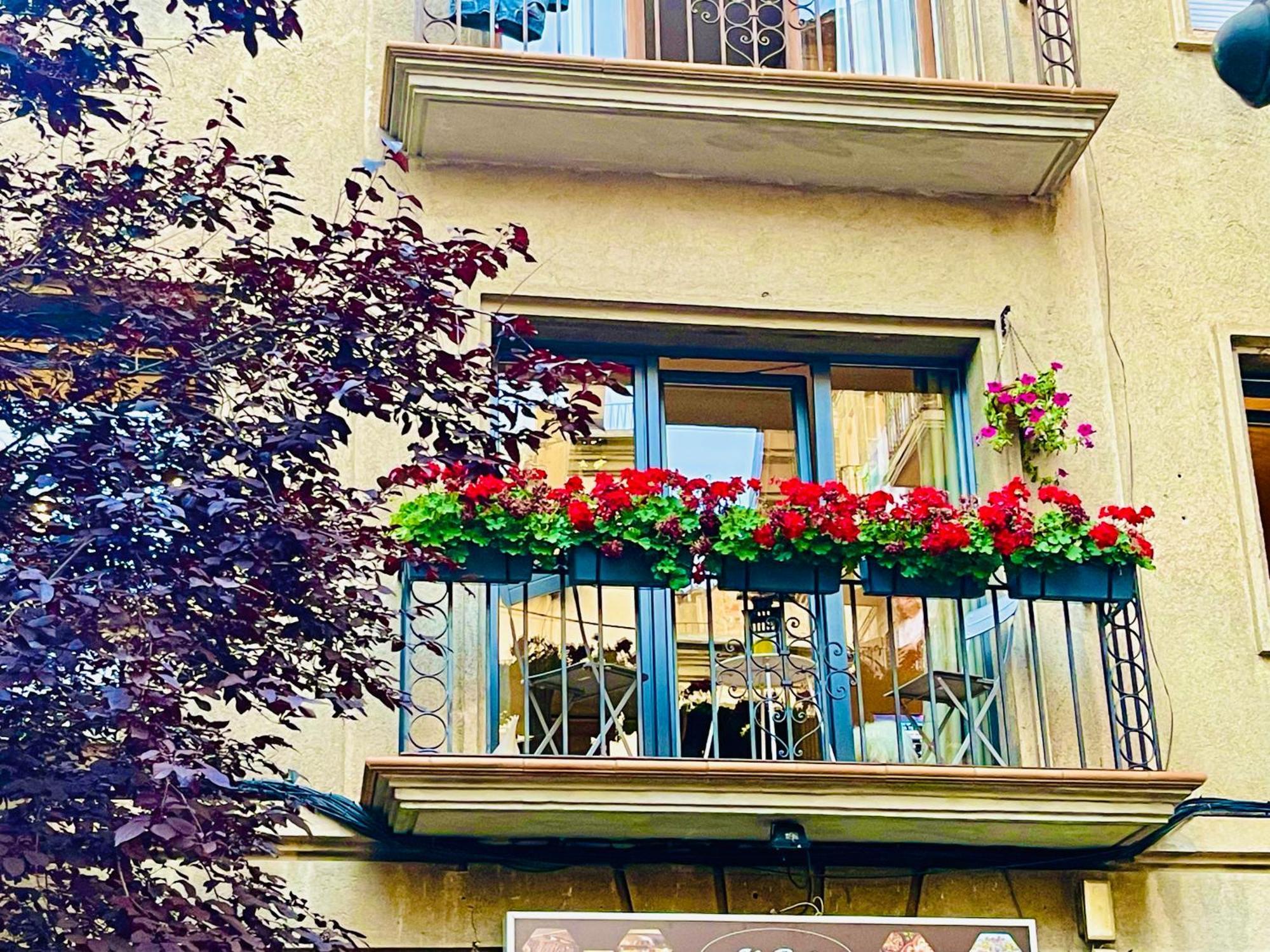 Ferienwohnung Cal Querol 1 - Centre Puigcerdà Exterior foto